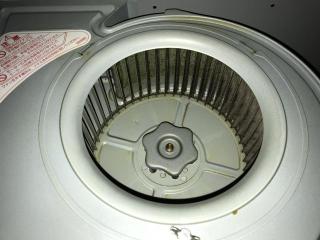 Before image